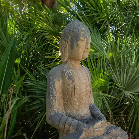 Nocleg ze śniadaniem Viluz - Wellbeing Marbella