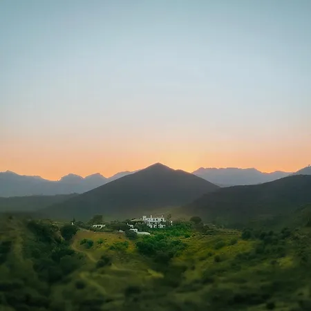 Viluz - Wellbeing Marbella *