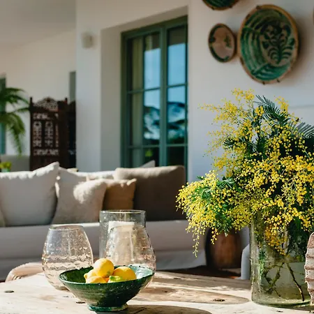 Viluz - Wellbeing Marbella Mijas
