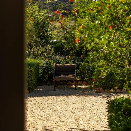 Viluz - Wellbeing Marbella *